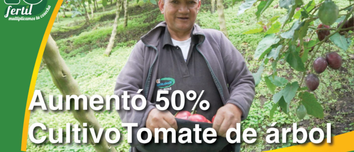 Tomate-de-Arbol-thumb