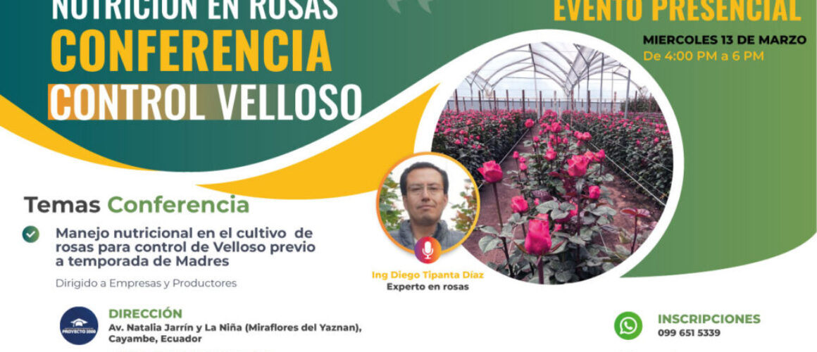 Conferencia-Rosas-publicacion