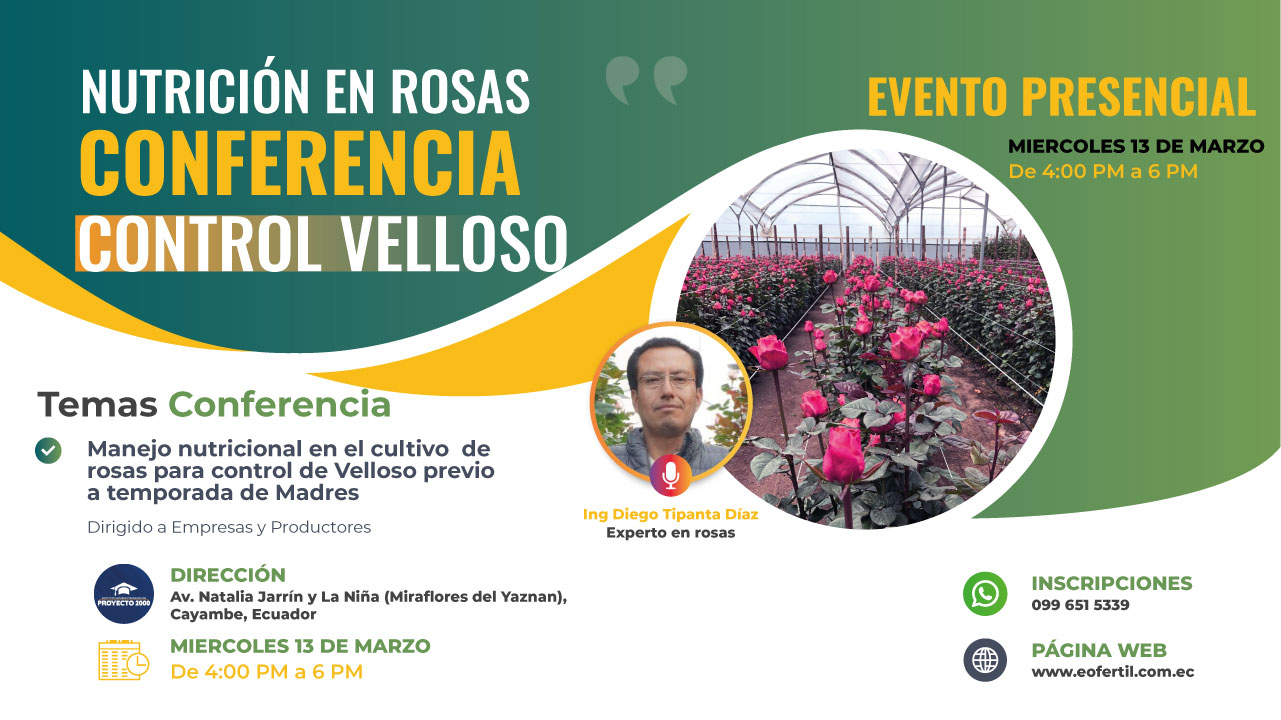 Conferencia-Rosas-publicacion